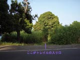 トレイル 撮影時刻−8:25