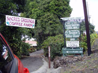 SACRED GROUNDS COFFEE FARM